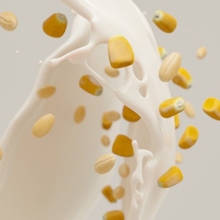 Pegamentos Naturales